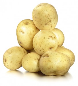 Svegro Finpotatis Ekologisk