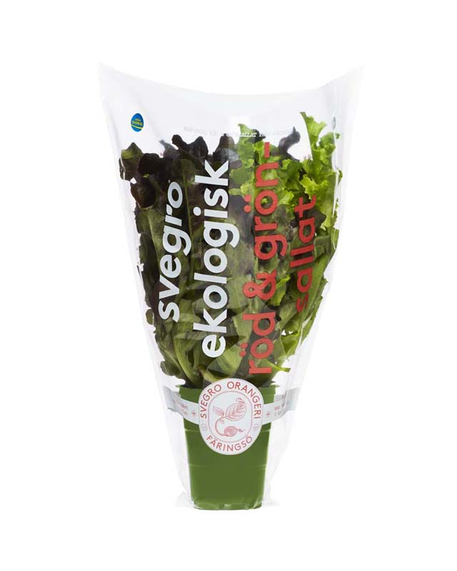 Svegro Röd & Grön Sallat