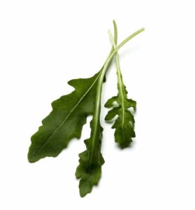 Svensk Rucola