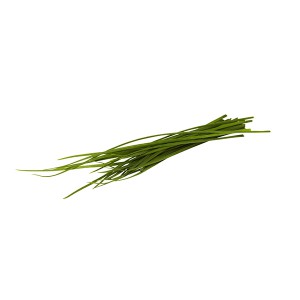 Kinesisk gräslök