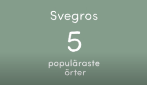 Våra fem populäraste örter - från Svegro